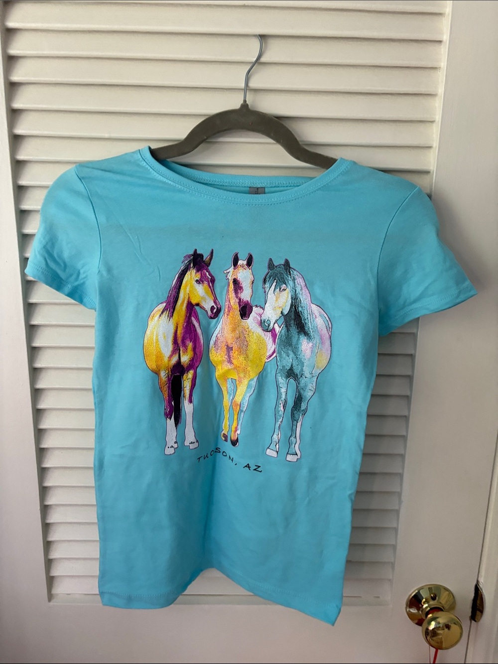 Next Level Apparel Turquoise Tee with Colorful Horse Trio